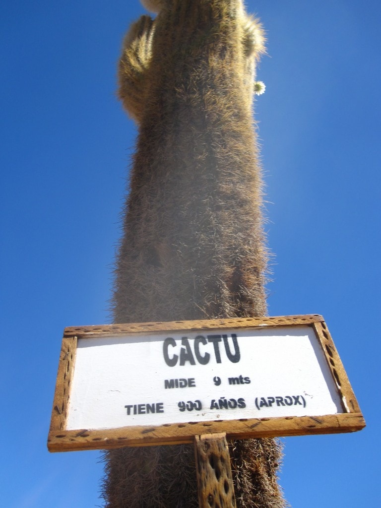 salt flat photos, uyuni, bolivia, salt flat