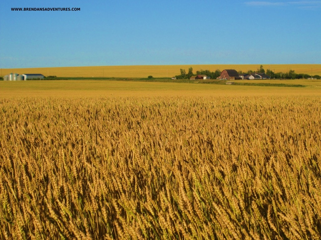 prairie photos, alberta, canada