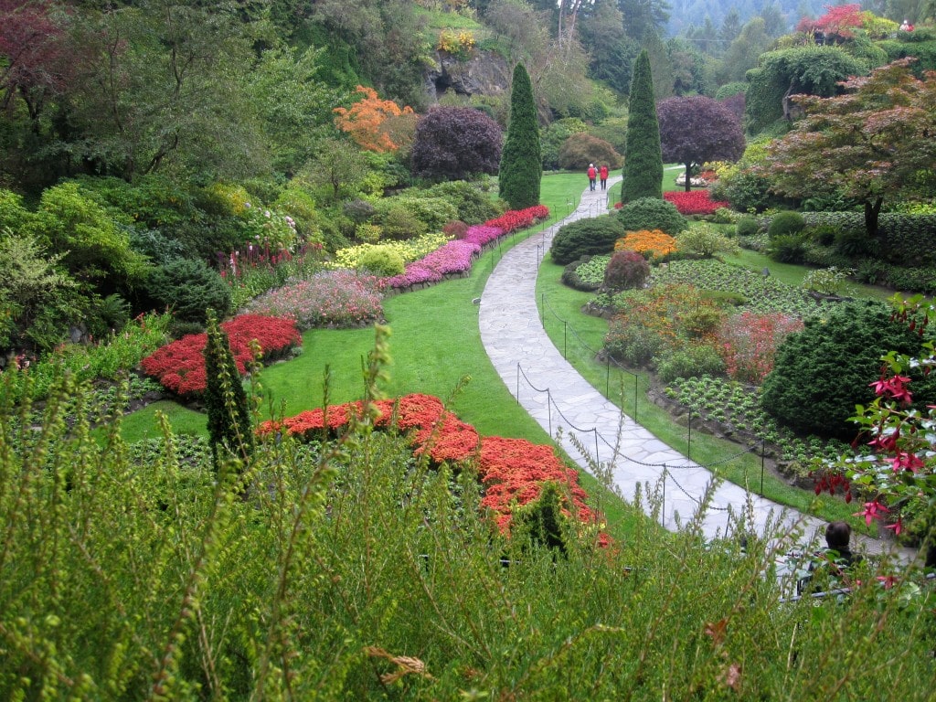 In October, in Victoria, everything is still green, and orange, and red, and purple..