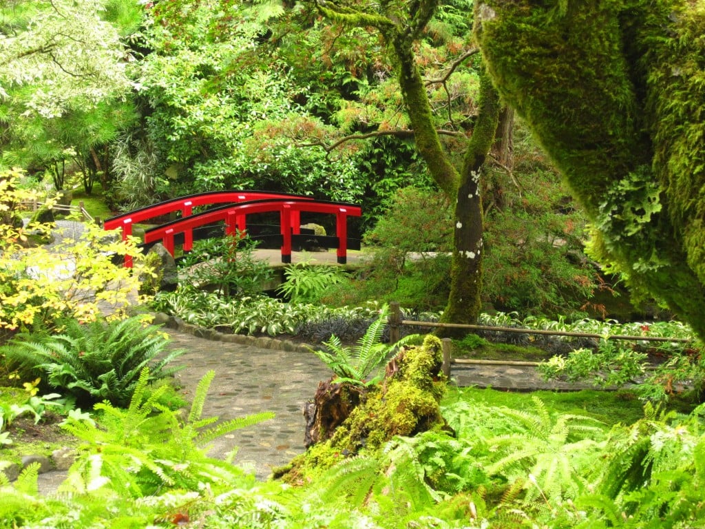 Everytime I walk the Japanese Gardens at Butchart Gardens I feel a little nostalgic urge to go back to Japan.