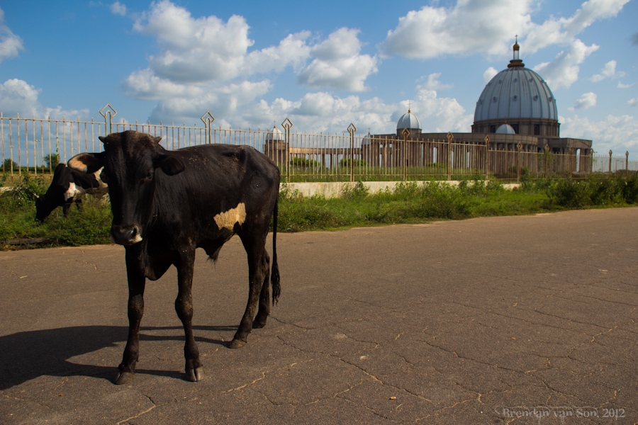 Picture, Church, Yamoussoukro Basilica, Yamoussoukro, Cote d'Ivoire, Ivory Coast