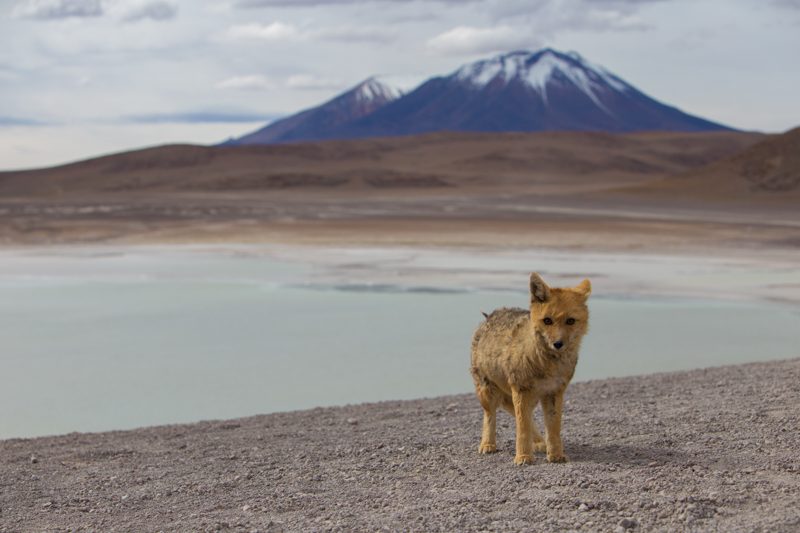 Bolivia