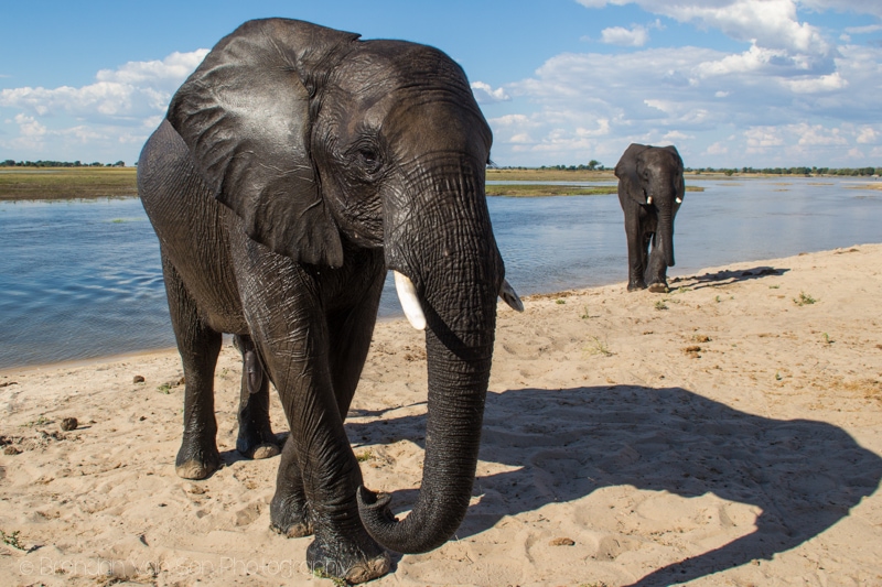 Botswana