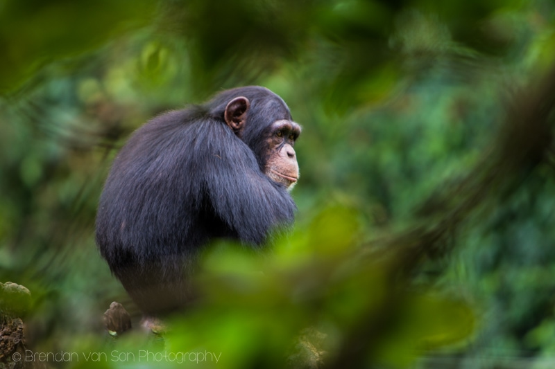 Sierra Leone