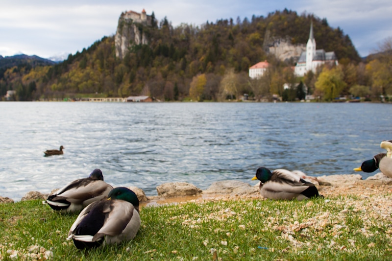 Bled, Slovenia