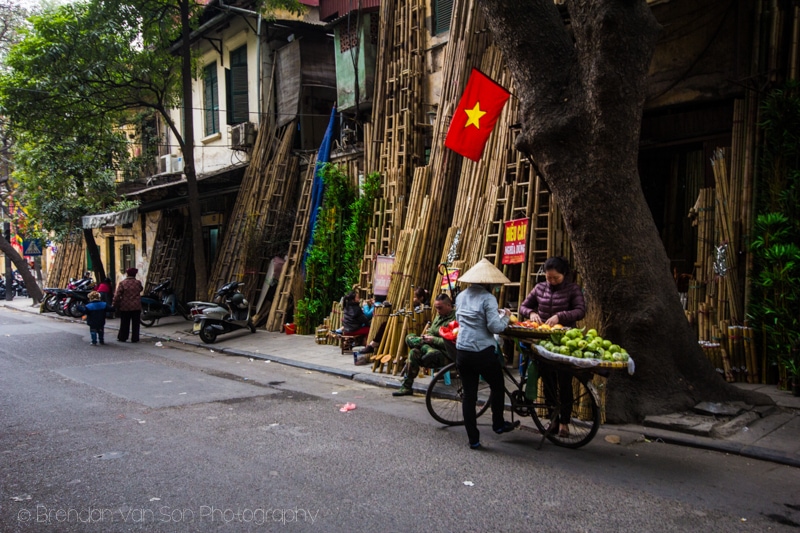 Bamboo for sale, hanoi