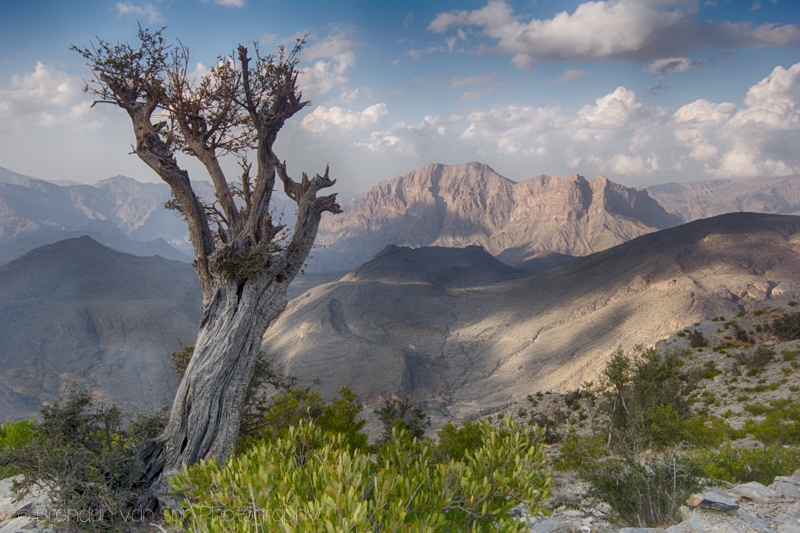 Jabal Shams, Oman