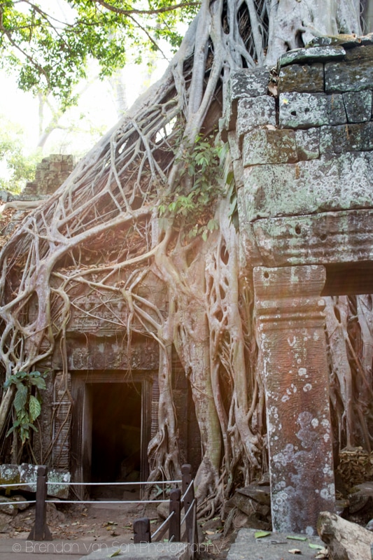 Tomb Raider Temple Angkor Wat