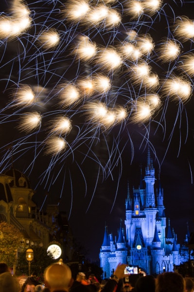 Disney World Fireworks