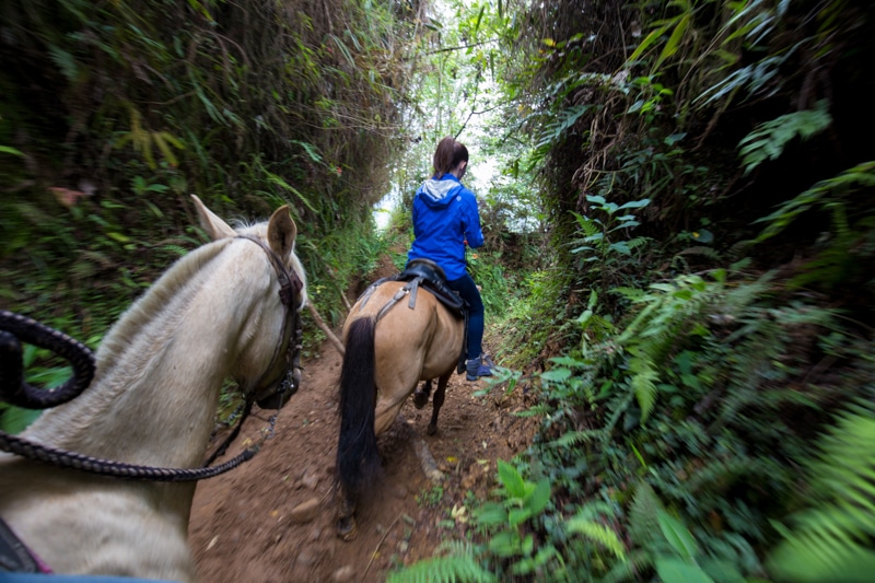 Horse riding, Salento, Colombia
