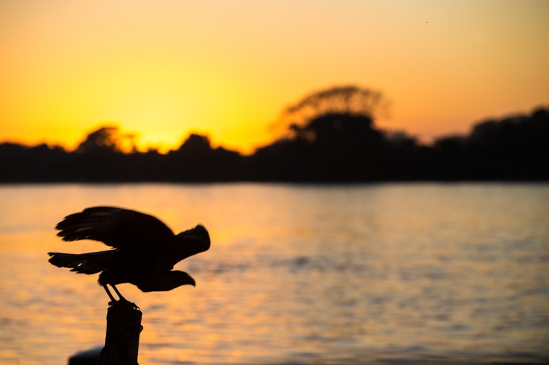 Pantanal, Brazil