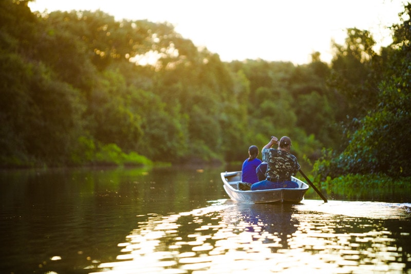 Pantanal, Brazil