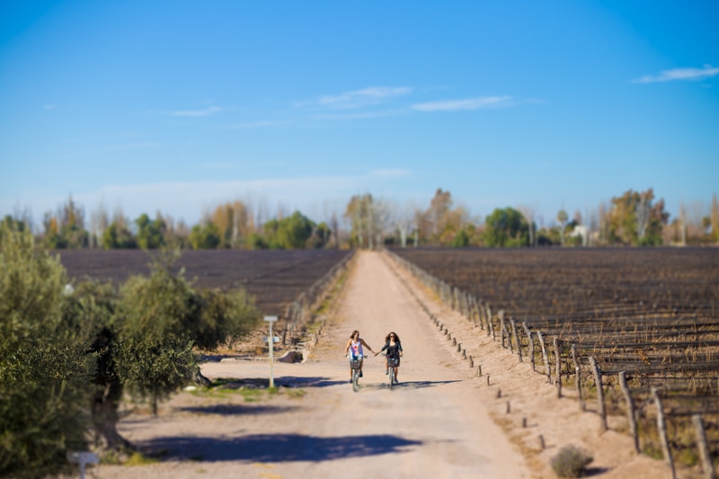 Mendoza bicycle wine tour
