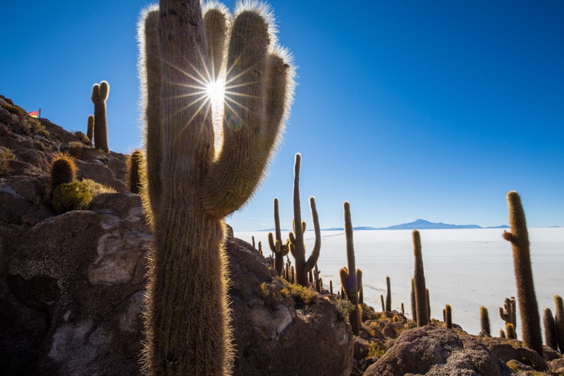 Salar de Uyuni