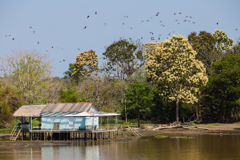 From Santarem to Manaus