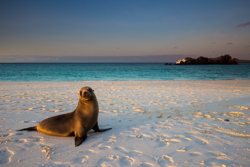 Gardner Bay, Galapagos Islands