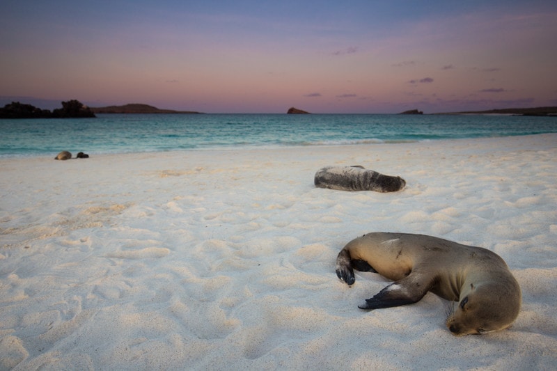 Gardner Bay, Galapagos Islands