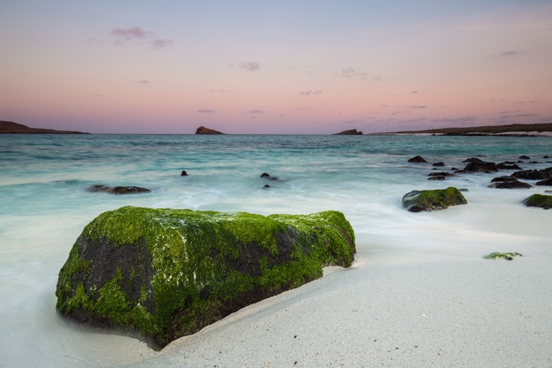 Gardner Bay, Galapagos Islands