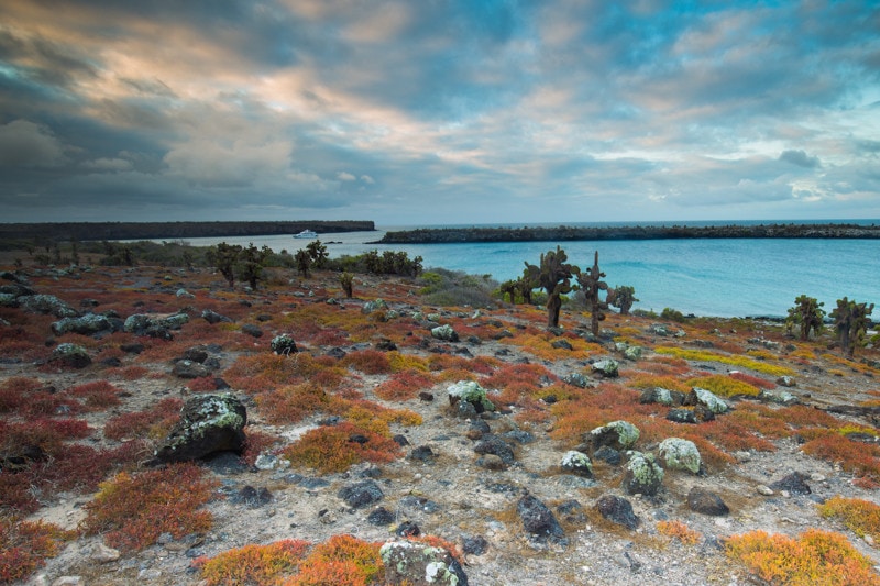 Santa Fe Island, Galapagos Islands