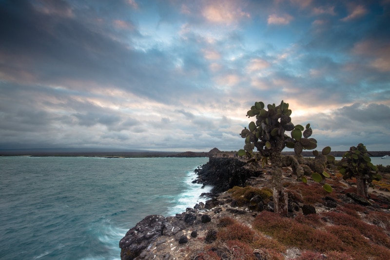 Santa Fe Island, Galapagos Islands