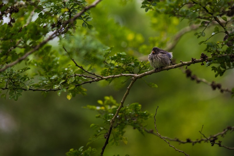 Santa Cruz Island, Galapagos Islands