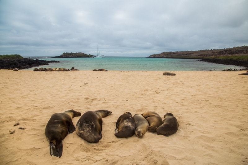 Santa Fe Island, Galapagos Islands
