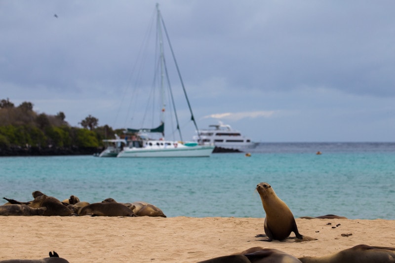 Santa Fe Island, Galapagos Islands