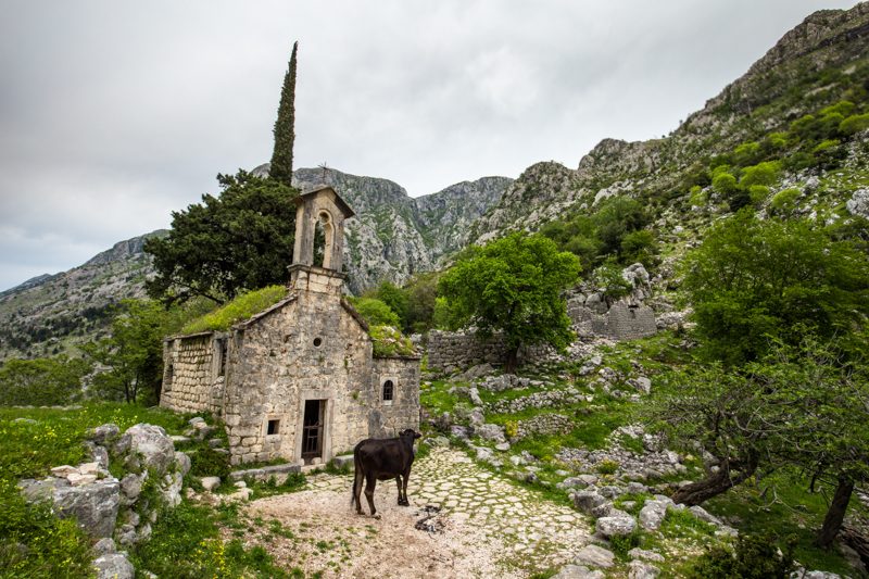 Grass Roofed Church Kotor