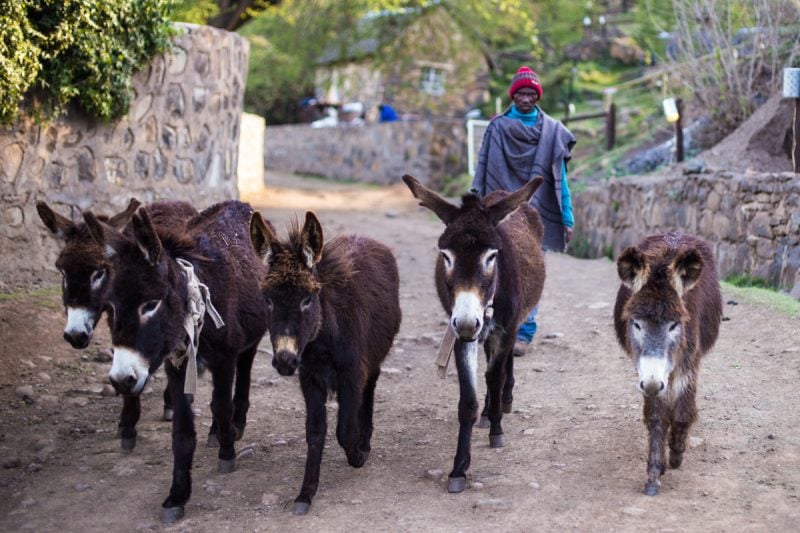 Semonkong, Lesotho