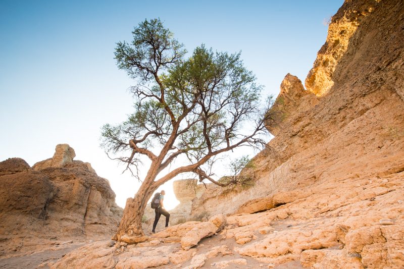 Sesriem Canyon