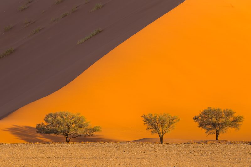 Namibia