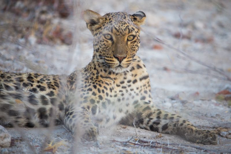 Namibia Photography