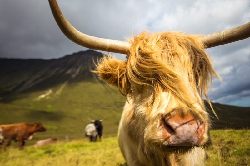 Isle of Skye, Scotland