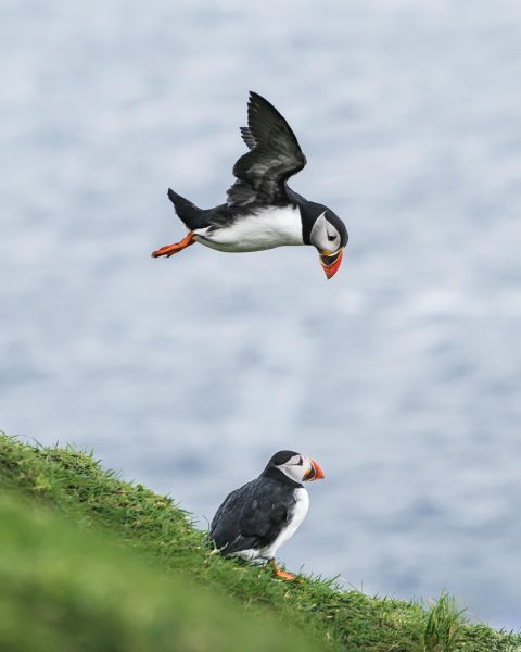 Faroe Islands