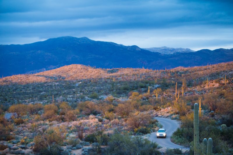 Saguaro National Park, Arizona