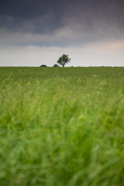 Missouri