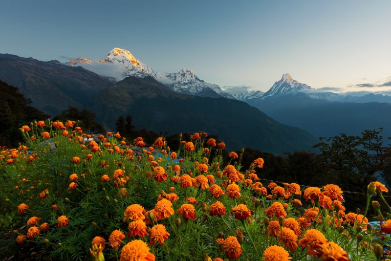 Annapurna Circuit