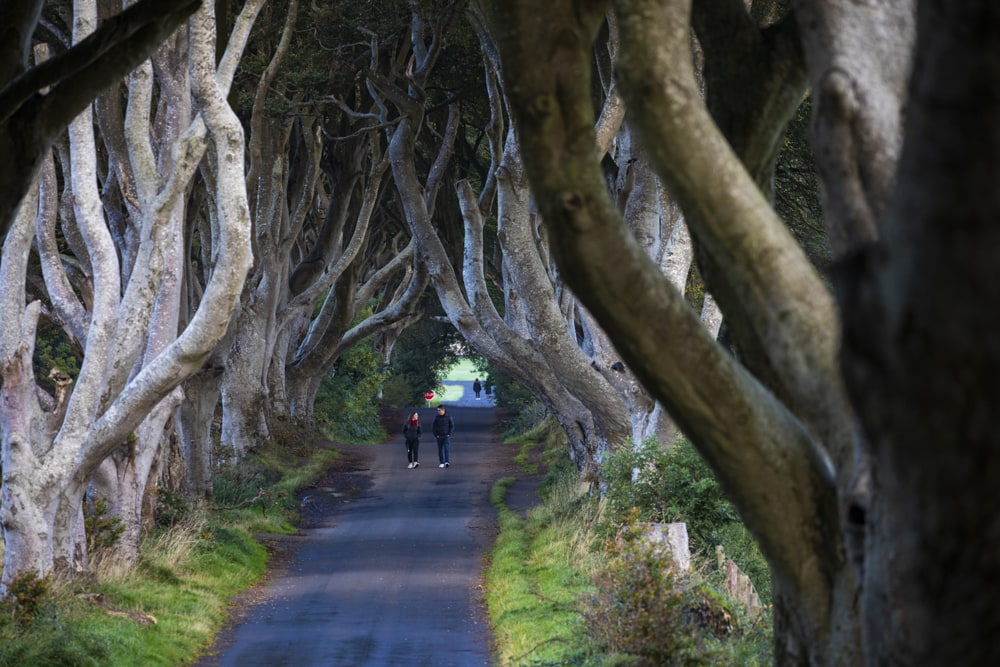 Northern Ireland