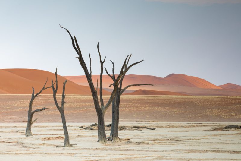 Namibia Photography