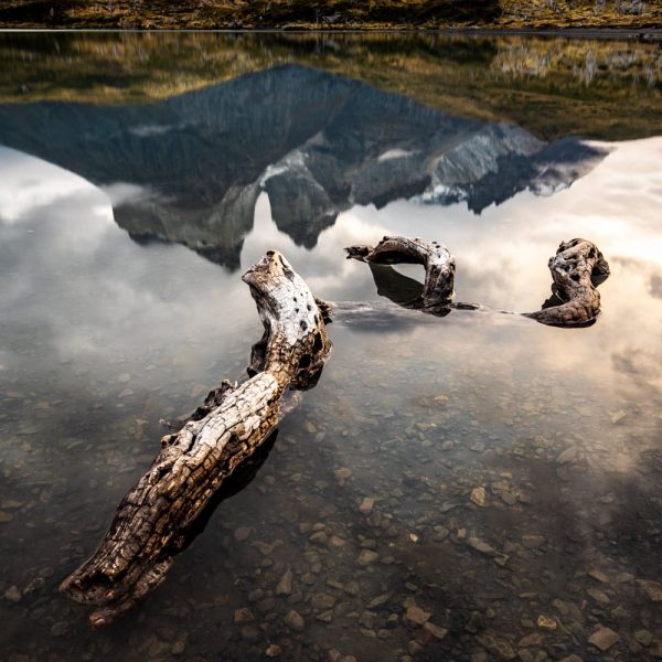 Torres del Paine