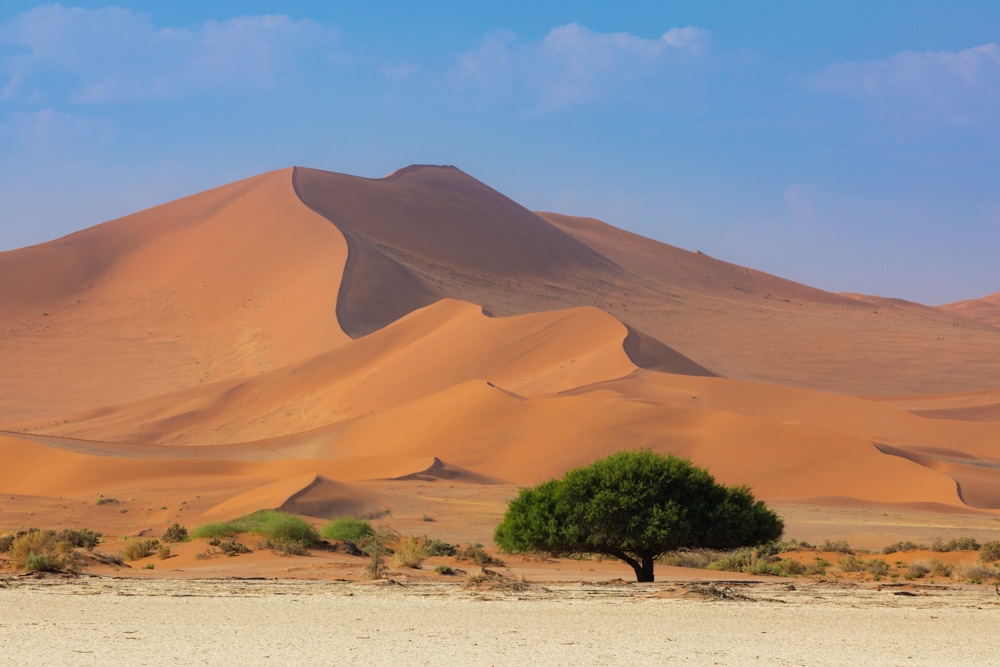 Namibia Photograpahy, deadvlei