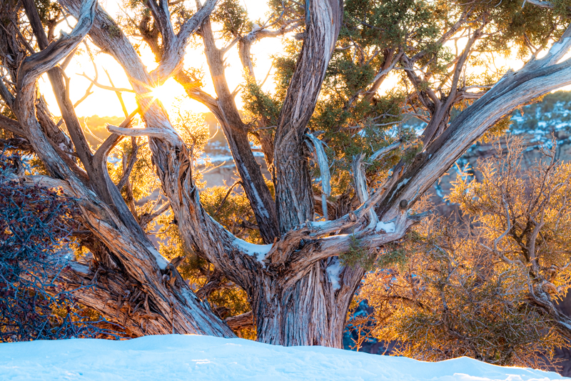 Canyon de Chelly