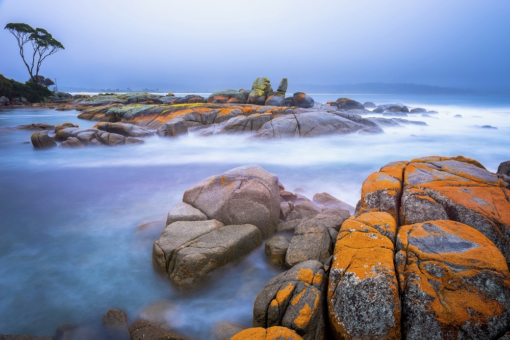 tasmania bay of fires