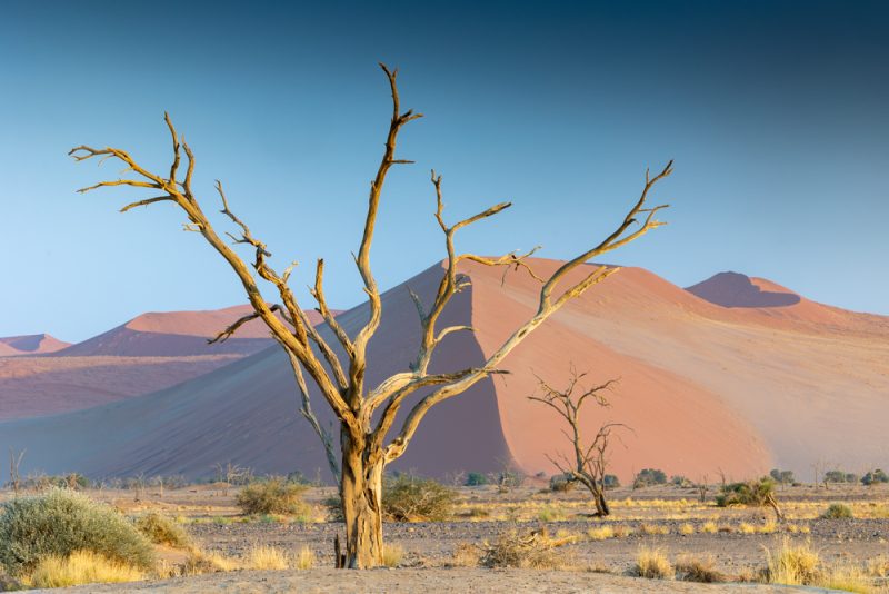 Namibia: June 2022 (Part 3-Sossusvlei and Dune Dreams) - Aperture Photo Arts