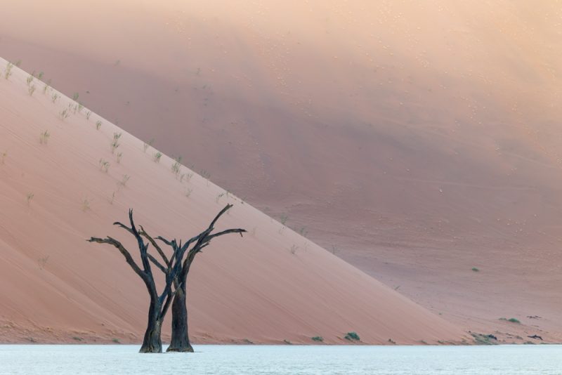 Namibia: June 2022 (Part 3-Sossusvlei and Dune Dreams) - Aperture Photo Arts