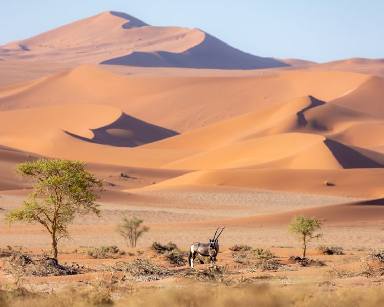 Namibia: June 2022 (Part 3-Sossusvlei and Dune Dreams) - Aperture Photo Arts